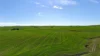'Siegerts' Section 3 Goyder Highway, Spalding, SA 5454-Image