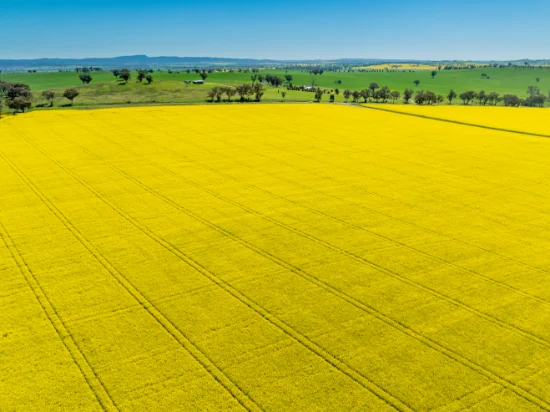 'Smiths' 5171 Cargo Road, Canowindra, NSW 2804