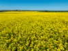 'Smiths' 5171 Cargo Road, Canowindra, NSW 2804-Image