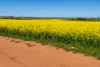 'Smiths' 5171 Cargo Road, Canowindra, NSW 2804-Image
