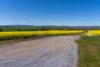 'Smiths' 5171 Cargo Road, Canowindra, NSW 2804-Image