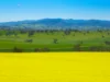 'Smiths' 5171 Cargo Road, Canowindra, NSW 2804-Image