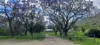 Smiths Creek Station (Block 1), Kempsey, NSW 2440