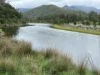 Smiths Creek Station (Block 1), Kempsey, NSW 2440-Image