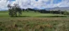 Smiths Creek Station (Block 1), Kempsey, NSW 2440-Image