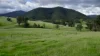 Smiths Creek Station (Block 1), Kempsey, NSW 2440-Image