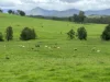 Smiths Creek Station (Block 1), Kempsey, NSW 2440-Image