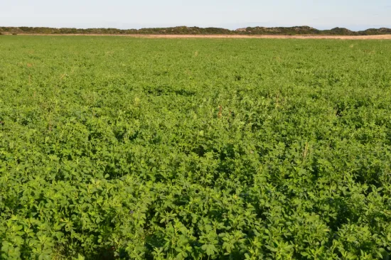 Southern Ports Highway, Robe, SA 5276