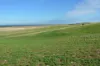 Southern Ports Highway, Robe, SA 5276-Image