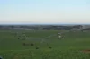 Southern Ports Highway, Robe, SA 5276-Image
