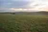 Southern Ports Highway, Robe, SA 5276-Image