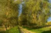 Southern Ports Highway, Robe, SA 5276-Image