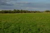 Southern Ports Highway, Robe, SA 5276-Image