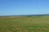 Southern Ports Highway, Robe, SA 5276-Image