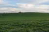 Southern Ports Highway, Robe, SA 5276-Image