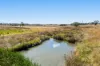 "Springdale" 44 Whittaker Road, Southbrook QLD 4363-Image