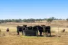 "Springdale" 44 Whittaker Road, Southbrook QLD 4363-Image