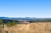 "Springdale" 44 Whittaker Road, Southbrook QLD 4363-Image