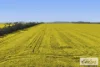 St Marnocks Road, Ballyrogan, Vic 3375-Image