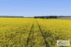 St Marnocks Road, Ballyrogan, Vic 3375-Image