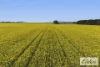 St Marnocks Road, Ballyrogan, Vic 3375-Image