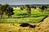 "Strathmore" Burra Burri Road, Chahpingah, Qld 4610-Image