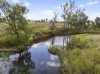 "Strathmore" Burra Burri Road, Chahpingah, Qld 4610-Image