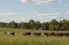 "Strathmore" Burra Burri Road, Chahpingah, Qld 4610-Image