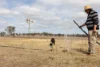 'Sunset Rise' Lot 4 McGowan Road, Westbrook, Qld 4350-Image