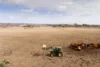 'Sunset Rise' Lot 4 McGowan Road, Westbrook, Qld 4350-Image