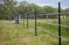 "Tamarolla", Allora QLD 4362-Image