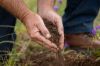 "Tamarolla", Allora QLD 4362-Image