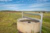 "Tamarolla", Allora QLD 4362-Image