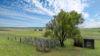 "Tamarolla", Allora QLD 4362-Image
