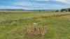 "Tamarolla", Allora QLD 4362-Image