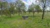 "Tamarolla", Allora QLD 4362-Image
