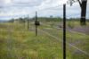 "Tamarolla", Allora QLD 4362-Image