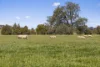 Tattersalls Lane, Moormbool West, Vic 3523