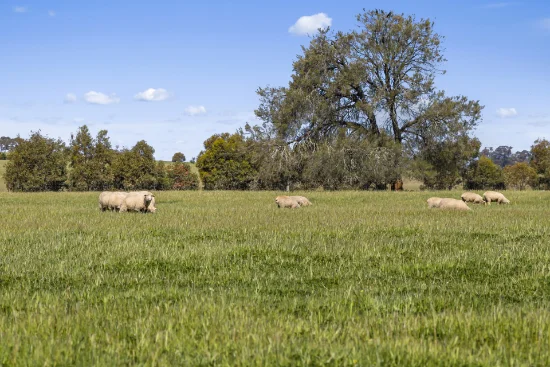 Tattersalls Lane, Moormbool West, Vic 3523