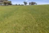 Tattersalls Lane, Moormbool West, Vic 3523-Image