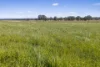 Tattersalls Lane, Moormbool West, Vic 3523-Image