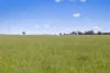Tattersalls Lane, Moormbool West, Vic 3523-Image