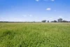Tattersalls Lane, Moormbool West, Vic 3523-Image