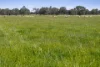 Tattersalls Lane, Moormbool West, Vic 3523-Image