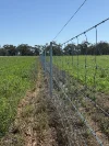 Tiagarra, 339 New Grenfell Road, Forbes, NSW 2871-Image