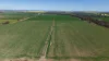 Tiagarra, 339 New Grenfell Road, Forbes, NSW 2871-Image
