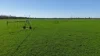 Tiagarra, 339 New Grenfell Road, Forbes, NSW 2871-Image