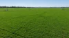 Tiagarra, 339 New Grenfell Road, Forbes, NSW 2871-Image