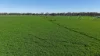 Tiagarra, 339 New Grenfell Road, Forbes, NSW 2871-Image