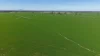 Tiagarra, 339 New Grenfell Road, Forbes, NSW 2871-Image
